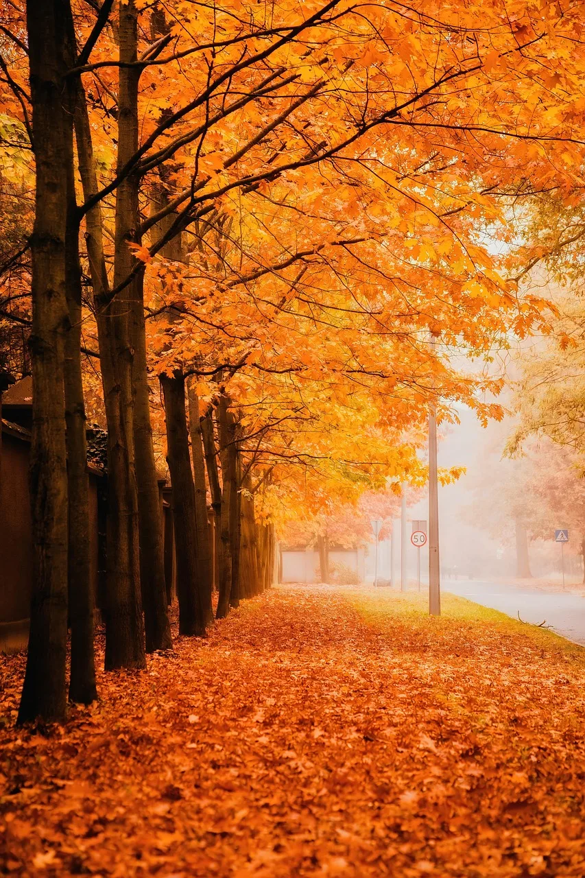 Critical theory and modern therapy - the philosophical roots of therapeutic