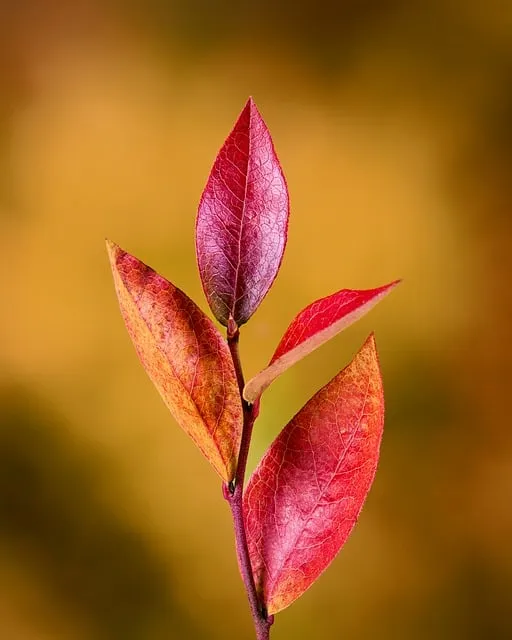 Stoic emotional mastery FAQ