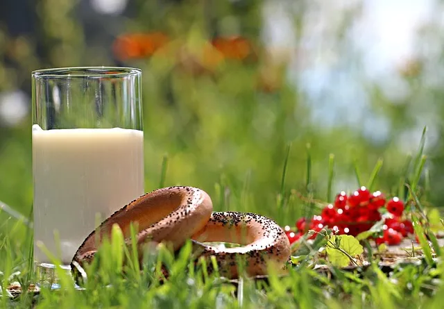 Taurine: The Longevity Amino Acid