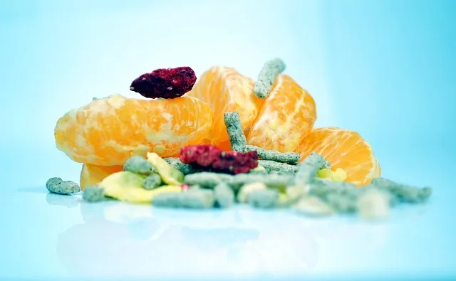 Fiber and Gut Health: Types and Amounts