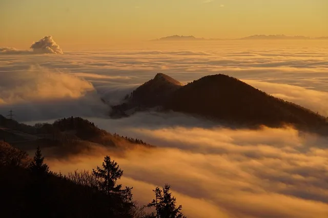 Brain Fog: 14 Root Causes and How to Clear Them
