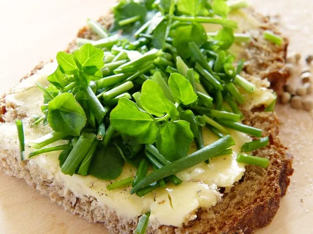 Liver Detox: Phase I and Phase II Support