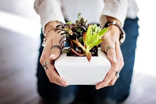 POTS and Dysautonomia: When Your Nervous