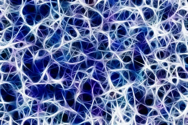 Vagus Nerve: Complete Toning Guide
