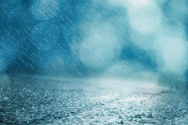 Cold Showers for Anxiety: The Norepinephrine Reset