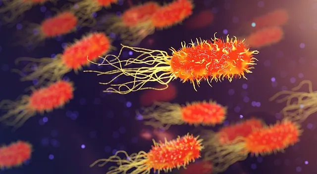 Cold Exposure and Inflammation: What Science Shows