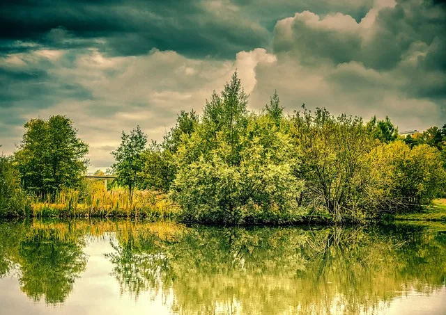Health Post 610