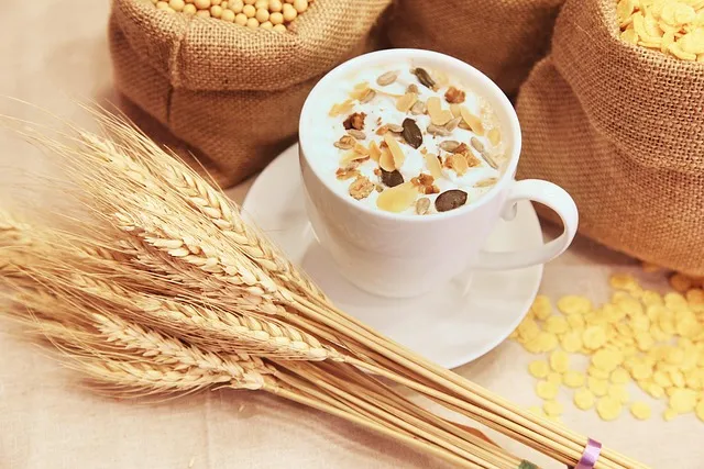Brown Fat Activation: How Cold Triggers Fat