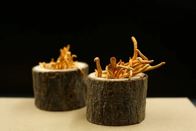 Mushroom Supplements: Which Species for What
