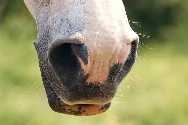Alternate Nostril Breathing: The Science