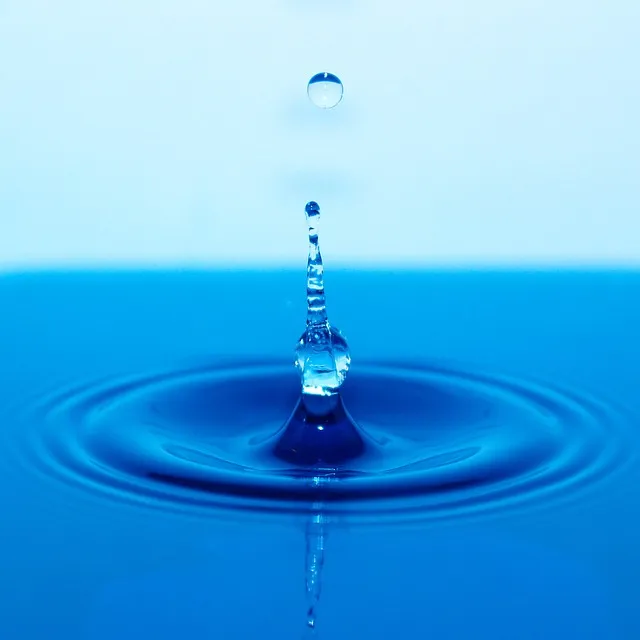 Water Fasting: Complete Safety Guide