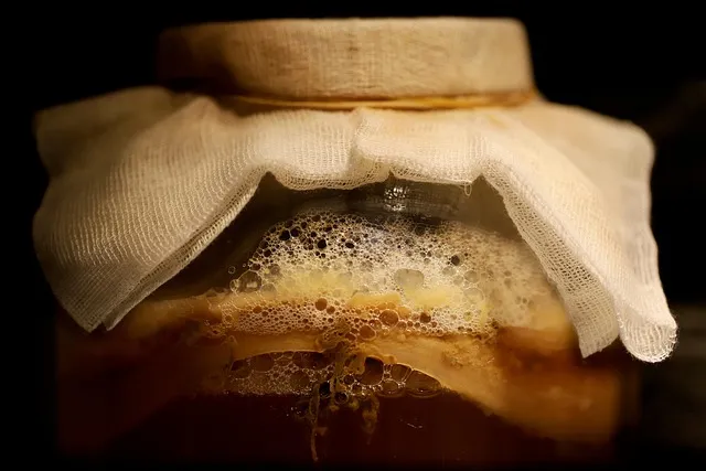 Fermented Foods Ranked: Most to Least Beneficial