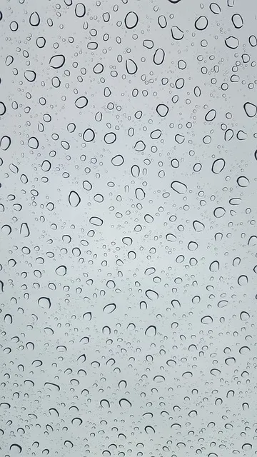mold after water damage — resilience and discipline