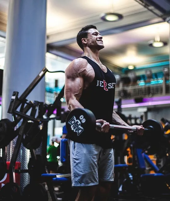 fitness and health, fitness abs, dumbbell, nature, gym, athletics, balanced