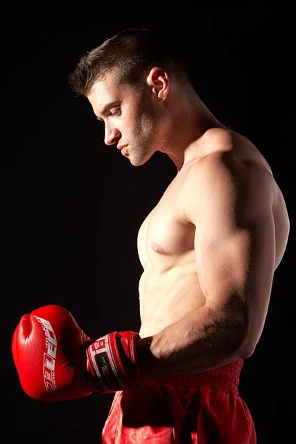 boxing, sport, sports, boxer, battle, gloves, kickboxing, athlete, fight,