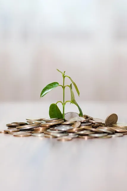 money, coins, finance, business, bank, currency, investment, financial,