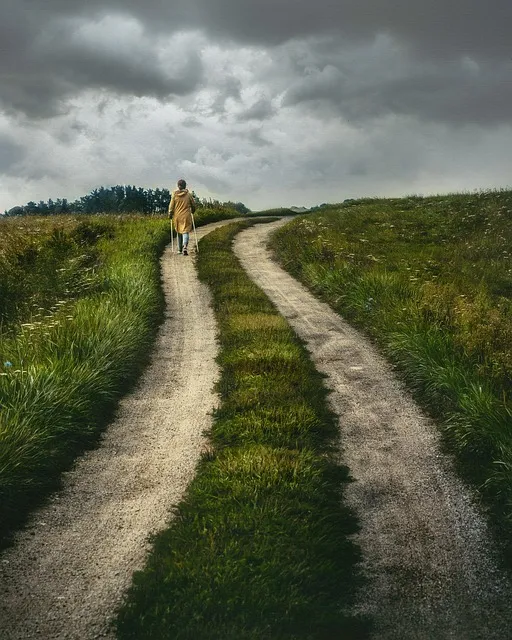 path, journey, new direction, building