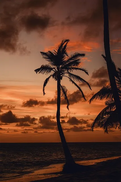 Peaceful lakeside sunset — knowing when to protect your morning routine