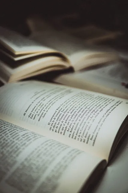 books, study, read, literature, education, reading, library, school,