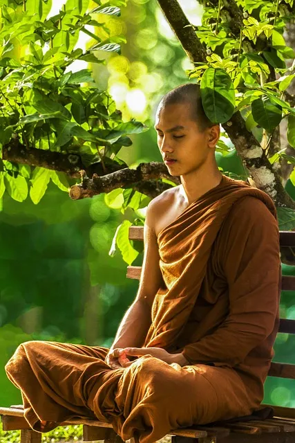 monk, meditate, zen, meditation, monk meditating, theravada buddhism,