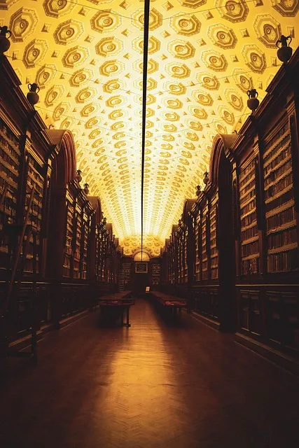 library, hall, hallway, architecture, interior, bookshelves, bookcases,