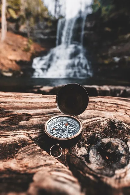 compass, nature, survival, trees, forest, wilderness, brown forest, compass,