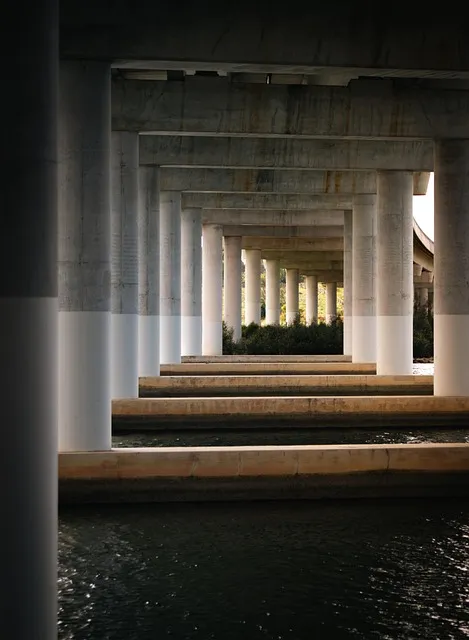 river, nature, pillars, water, under bridge, architecture, bridge
