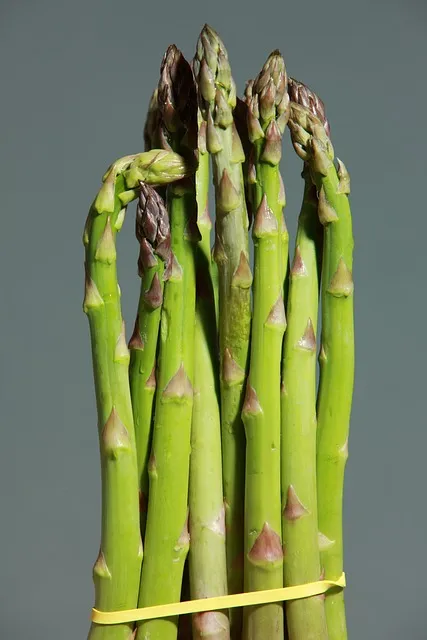 Fresh vegetables representing fasting discipline and nutritional control