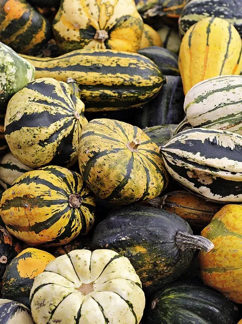 Autumn produce representing the seasonal rhythm of disciplined eating
