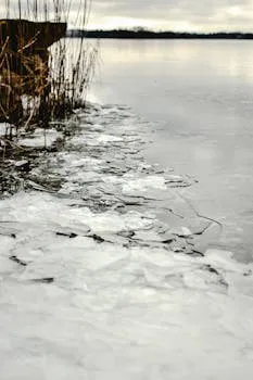 Icy shoreline with frozen water and reeds in Helsinki, Finland during winter.