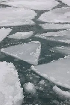 Sheets of floating ice on a cold ocean surface, depicting winter scenery and