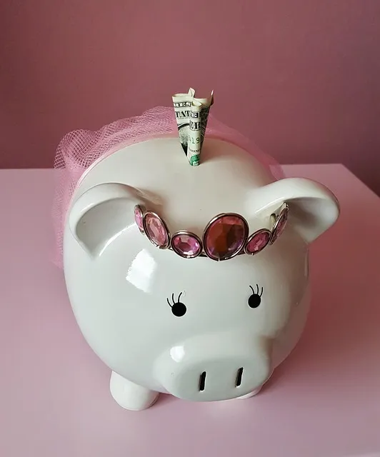 piggy bank, pig, piggy, pink, savings, save, money, coins, cash, dollar,