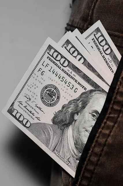 money, dollars, pocket, cash, bills, usd, banknotes, financial, wealth,