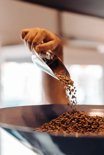 coffee beans, scooper, hand, grinder, coffee grinder, cafe, caffeine,