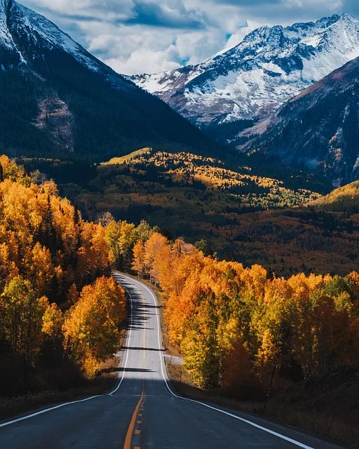 autumn nature fall road mountain forest woods trees