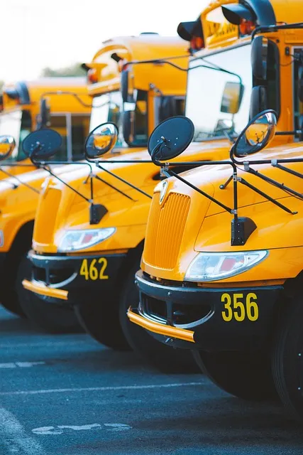 bus, school bus, vehicle, transportation, school, education, elementary,