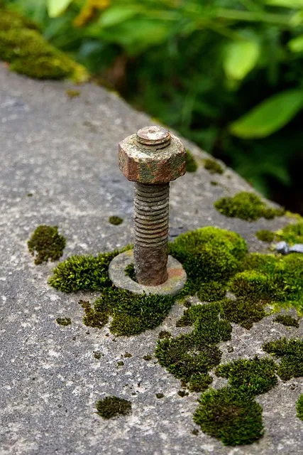 nut, bolt, threads, bracket, old, mossy, concrete