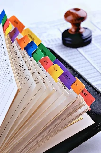 Daily planning and discipline framework