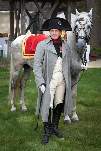napoleon discipline system, campaign architecture framework, napoleon on horseback