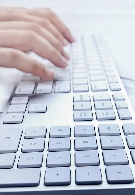 hands typing, laptop, keypad, keyboard, macro, technology, office, business,