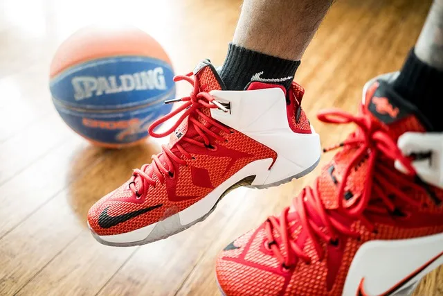 LeBron James mental discipline and mindset governance
