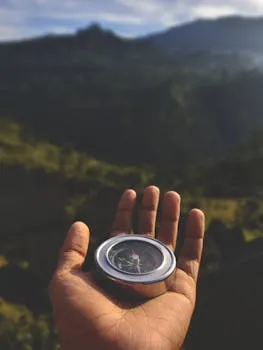Person navigating a path through complexity, representing Frankl's search