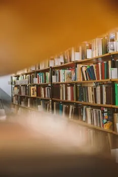 Ryan Holiday Discipline Is Destiny book