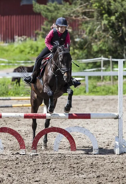 Horse and rider mid-jump, demonstrating commitment to the obstacle