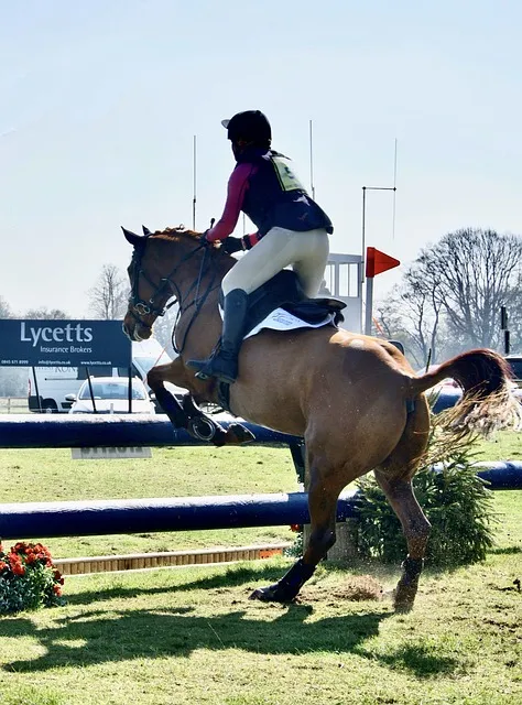 Rider and horse navigating a difficult jump course with precision
