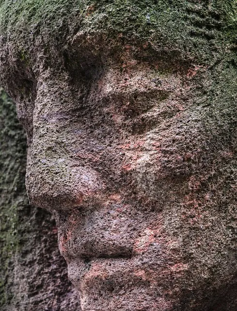 Person facing the war between creative aspiration and Resistance