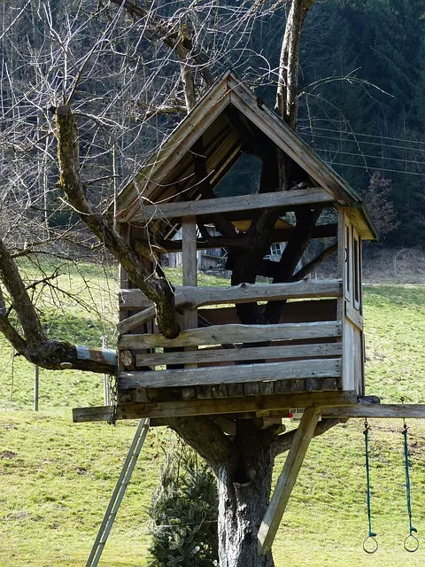 treehouse, tree hut, house, woodhouse, nature, tree, to play, children,
