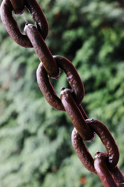 connecting ideas and insights from Rising Strong by Brené Brown