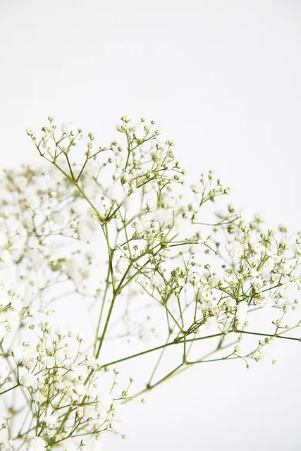 flowers, garden, bouquet, flower background, blossom, blooming, decorative,
