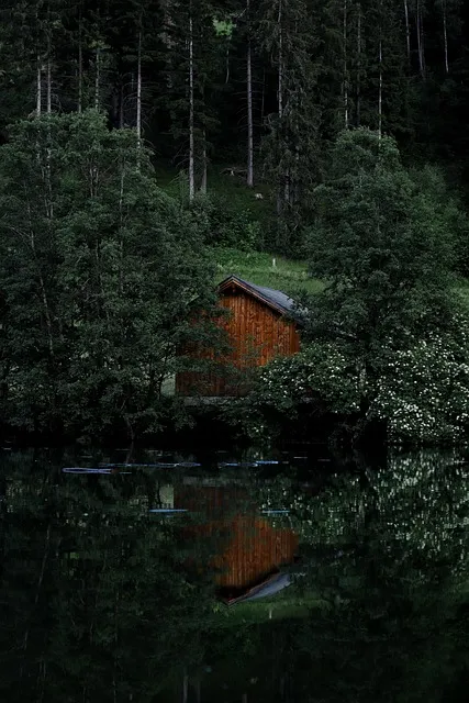 hut, lake, forest, sea, reflection, nature, trees, tranquil, meditation,